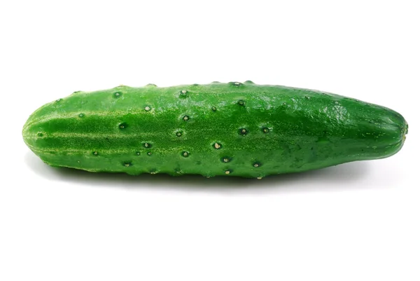 Close-up photo of single cucumber — Stock Photo, Image