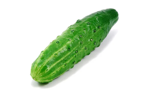 Close-up photo of single cucumber — Stock Photo, Image