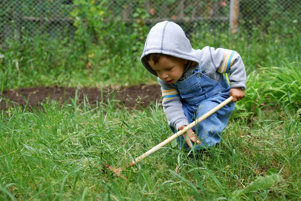 stock image Small boy with rake