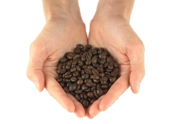 Händer som håller en skopa av kaffebönor — Stockfoto