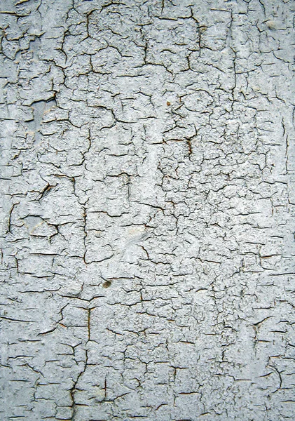 Textura de madera abstracta gruñona vieja — Foto de Stock