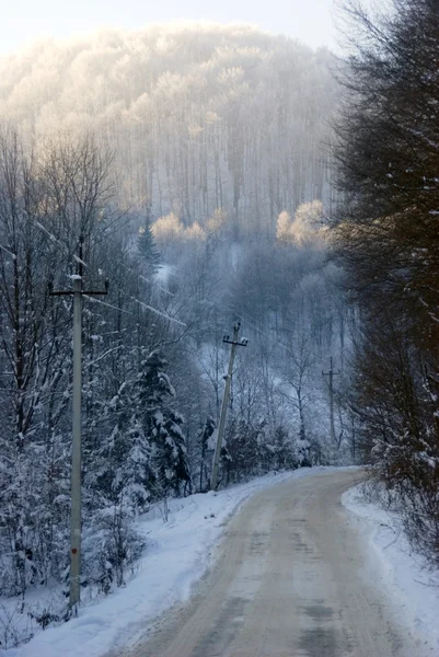 Camino de invierno — Foto de Stock