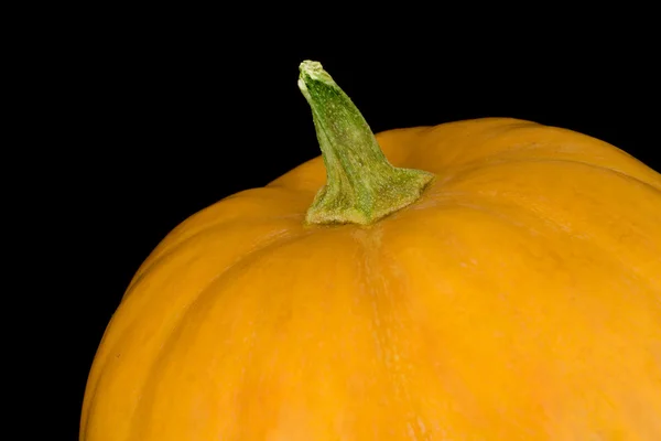 Close up of pumpkin