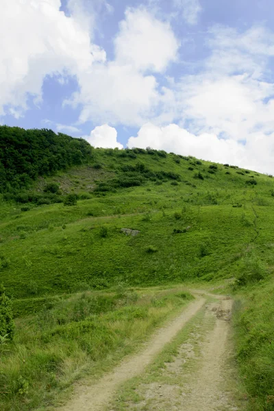 Sentiero di campagna in montagna — Foto Stock