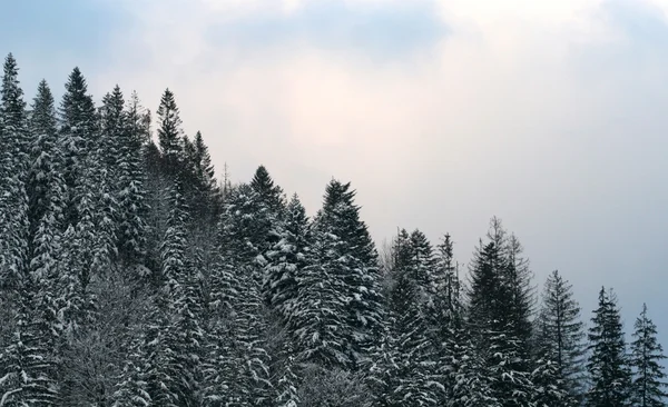 Vintern berg landskap — Stockfoto