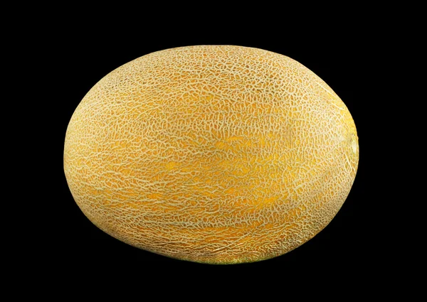 Melon — Stockfoto