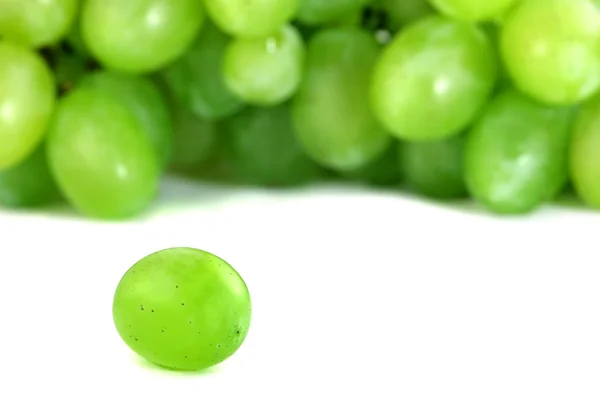 Groene druif geïsoleerd op witte achtergrond — Stockfoto