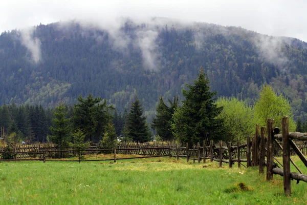 Дерев'яний паркан на пасовищі — стокове фото