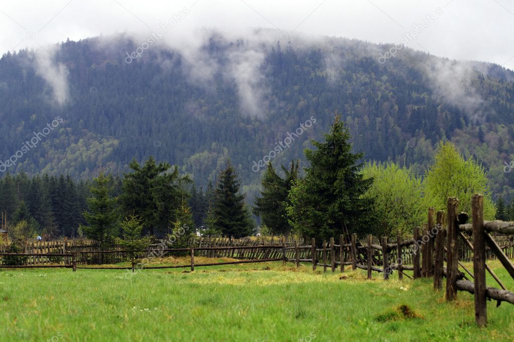 Wooden fence on the pasture