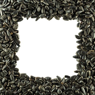 Sunflower seeds frame