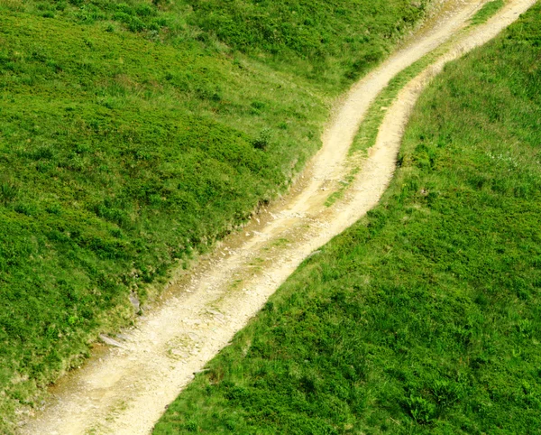 stock image Road through the green meadow