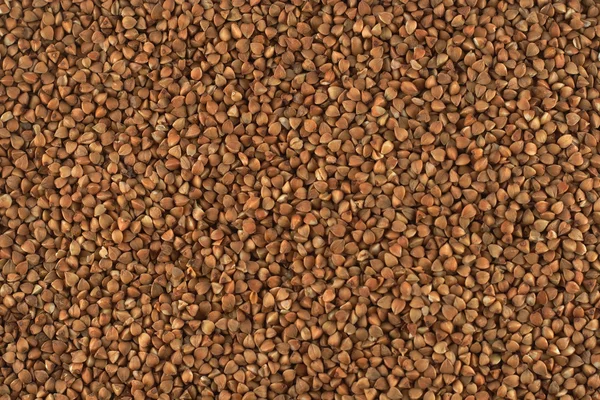 Textura de trigo sarraceno — Foto de Stock