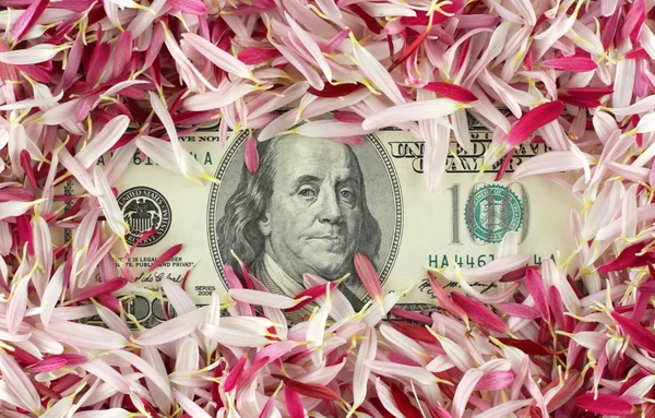 Billete de 100 bajo pétalos rosas — Foto de Stock