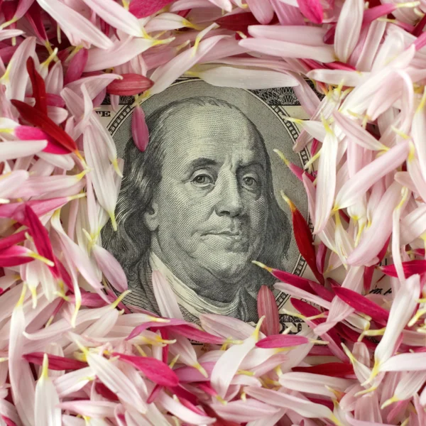 100 banknote under pink petals — Stock Photo, Image