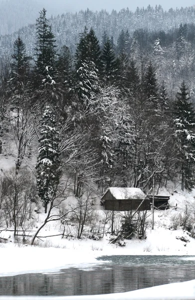 Rio de montanha no tempo de inverno — Fotografia de Stock