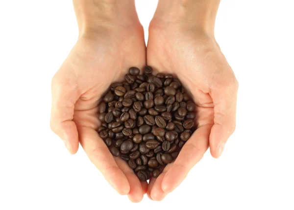 Hands holding a scoop of coffee beans — Stock Photo, Image