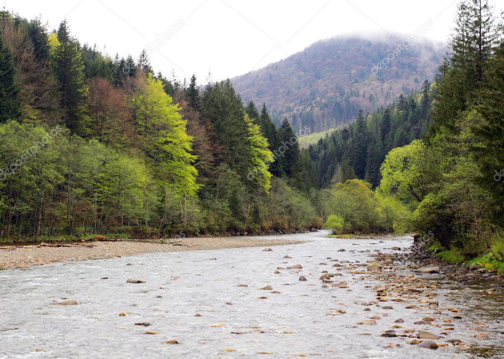 Mountain river in Carpathian mountains