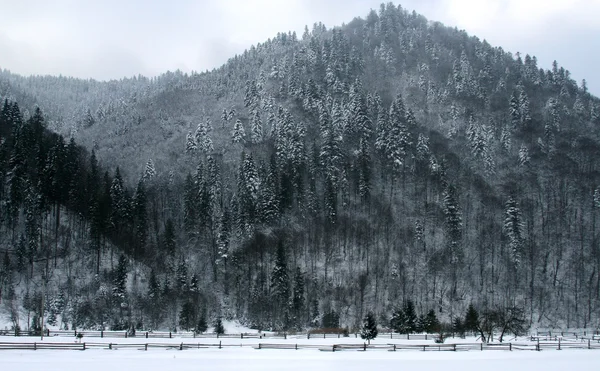 겨울 산 풍경 — 스톡 사진