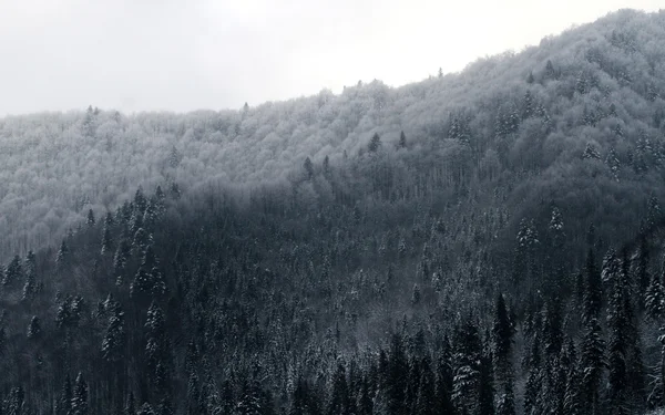 Inverno montanhas paisagem — Fotografia de Stock