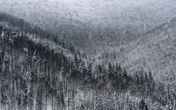 Dağlar kış manzara — Stok fotoğraf