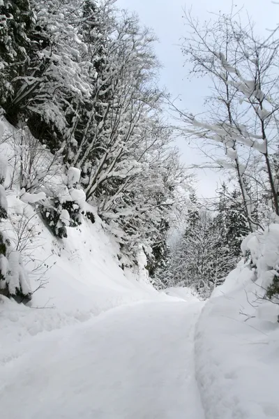 Väg genom skogen snörik vinter — Stockfoto