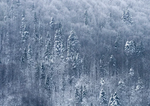 겨울 산 풍경 스톡 사진