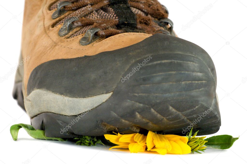 Hiking boot crushing flower