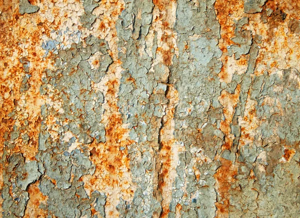 나무 배경의 껍질 — 스톡 사진