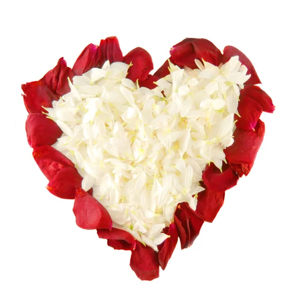 Rose petals in shape of heart on white Stock Photo