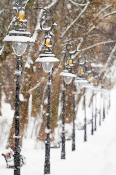 Linternas en el parque de invierno con nieve Imagen De Stock