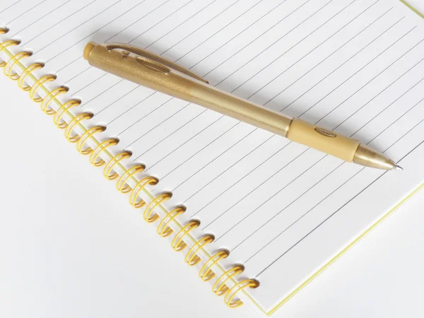 Ноутбук и ручка — стоковое фото