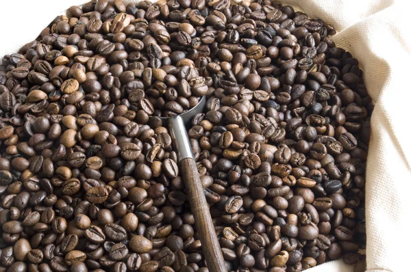Coffee beans in a bag with a spoon — Stock Photo, Image