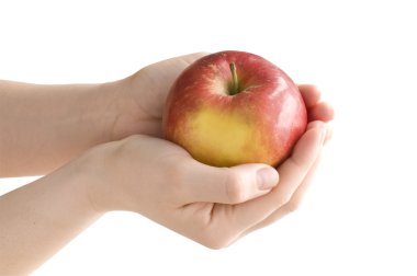 Apple in his hands clipart