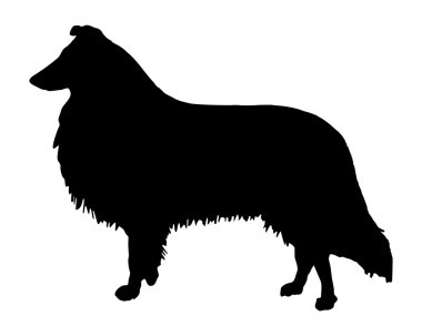 The black silhouette of a longhaired Col clipart