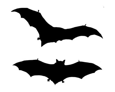 The black silhouette of two bats flying clipart