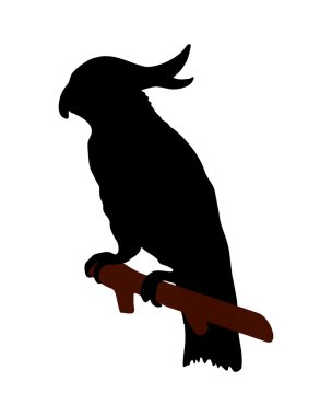 The black silhouette of a cockatoo on wh clipart