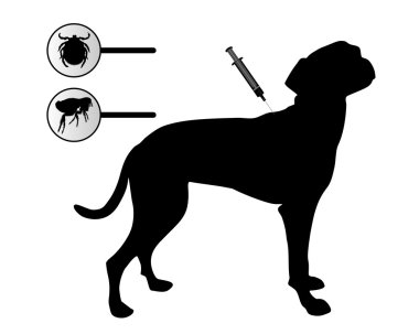 Dog gets an inoculation against fleas an clipart