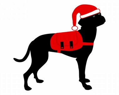 köpek sırt çantası bir Noel şapka ile