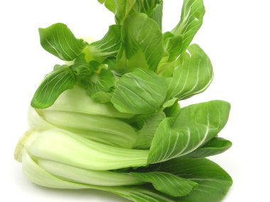 Pak choi beyaz zemin üzerine düzenlenmiştir