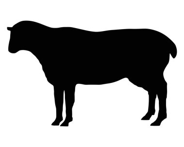 The black silhouette of a sheep on white clipart