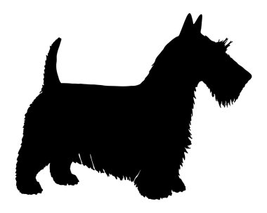 The black silhouette of a Scottish Terri clipart