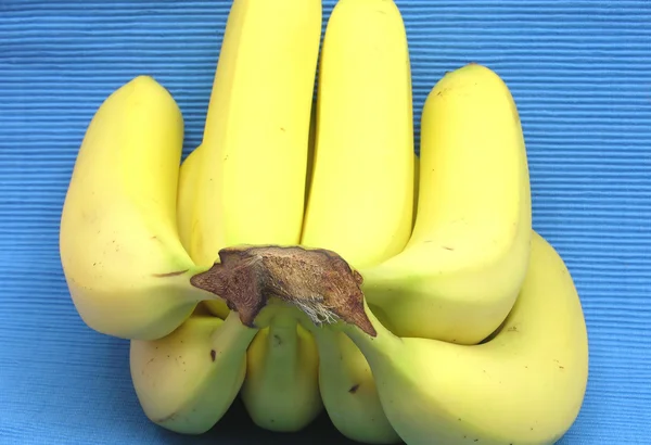 Bananer ligga framför en blå backgro — Stockfoto