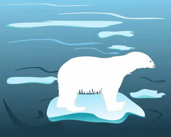 Tiempos cálidos para osos polares —  Fotos de Stock