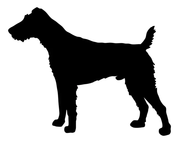 A silhueta preta de um Terrier de Raposa — Fotografia de Stock
