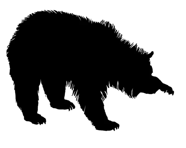 Grizzly — Stock Photo, Image