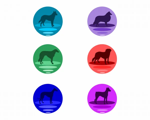 Dogbuttons — Stock Photo, Image