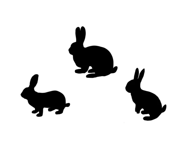Silhouette noire de trois lapins sur fond blanc — Photo