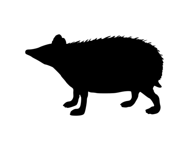The black silhouette of a hedgehog on wh — Stock Photo, Image