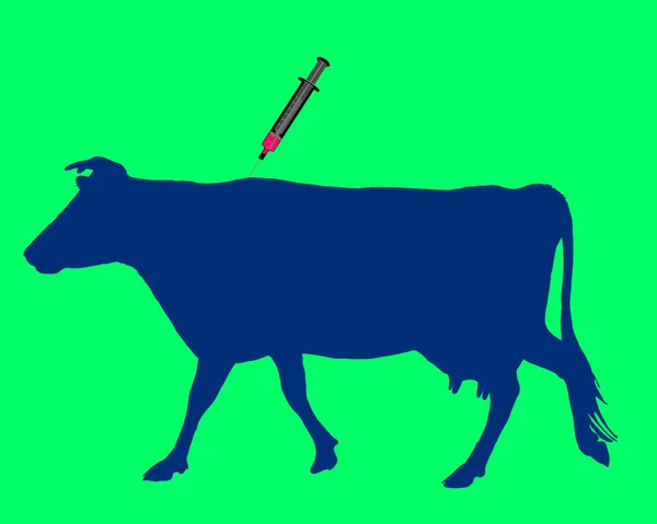 Cow gets an inoculation against blue ton — Stock Photo, Image