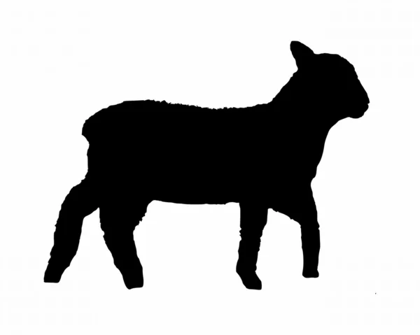 Schwarze Silhouette eines Lammes auf weißem Grund — Stockfoto